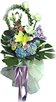 Flower Gift: FB016