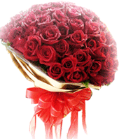 Valentine: 100 roses