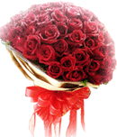 Flower Gift: 100 roses